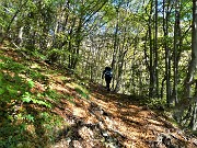 08 In decisa salita nel bosco di latifoglie